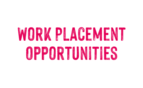 Work Placement opportunities Practical Workshops