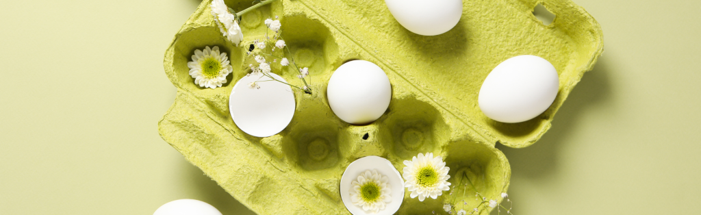 5 Spring crafts for kids 9 Craft egg cartons box with flowers