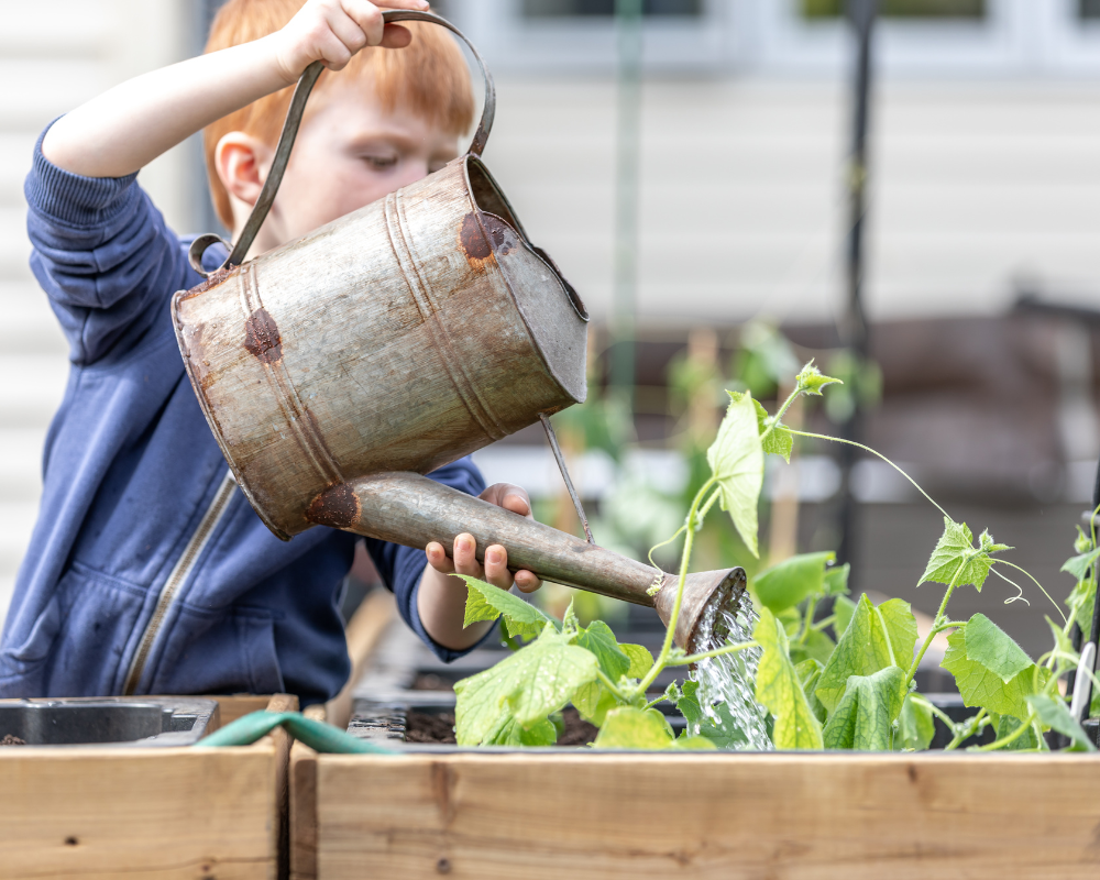 7 Summer Activities for Kids 1 1