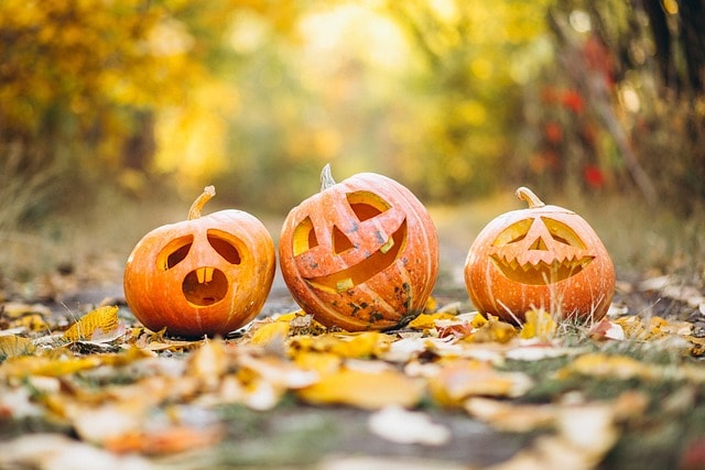 Pumpkin carving ideas for kids 1 pumpkin, halloween, tradition